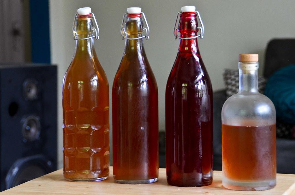 Introduction to Kombucha 4 Pack for Health Enthusiasts