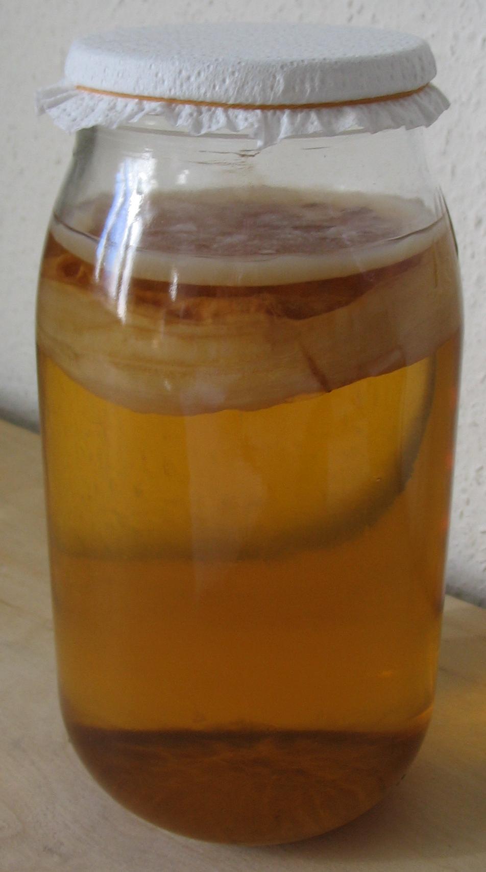 The Basics of Making Kombucha at Home