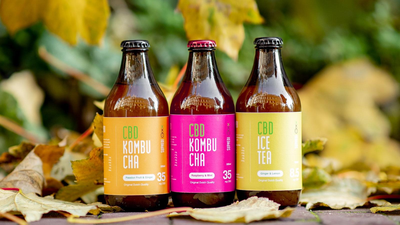 Comparing Kombucha Prices Across Brands and Retailers