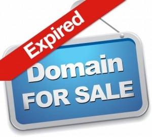 Finding Hidden Treasures Tips for Identifying Valuable Expired Domains