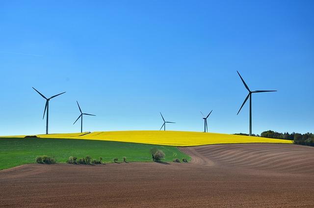 Building a Sustainable Flipping Business: Tips for Long-Term Success