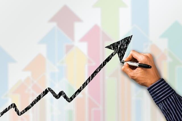 Maximizing Profits Through Marketing Techniques