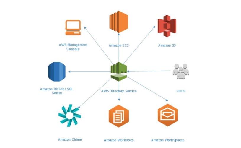 Navigating AWS Domain Management Features