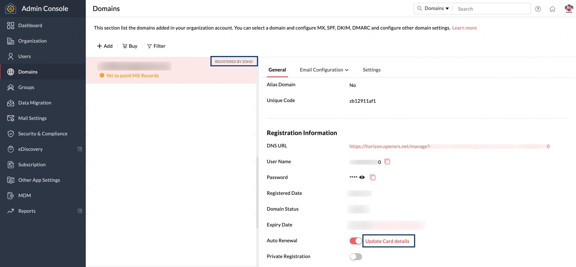 Troubleshooting Common Issues When Setting Up Your Zoho Domain