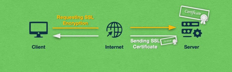 Understanding the Importance of SSL Certificates for Your Domain Purchase