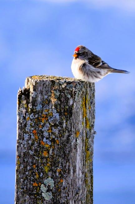 Post-Sale Considerations for a Smooth Transition