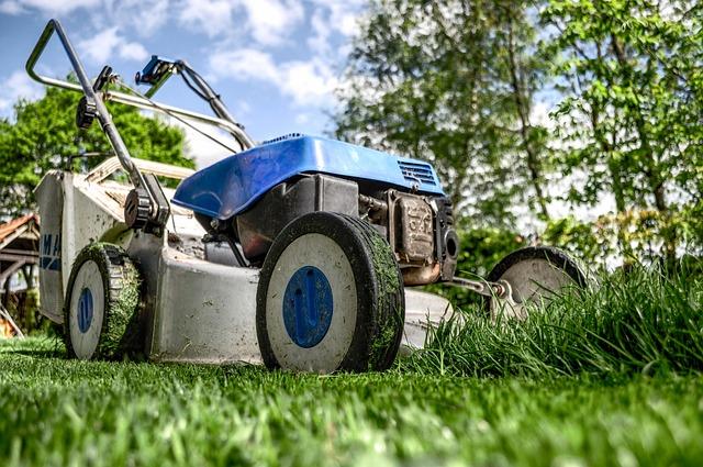 Success Stories: How Free Tools Have Changed the Game