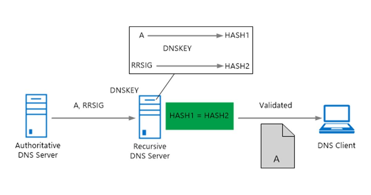 Essential Tips for Securing Your Domain Name from Cyber Threats