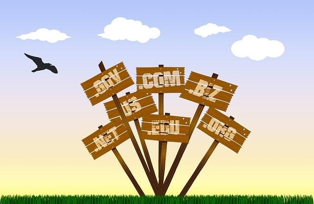 Tips for Successfully Flipping Domains in a Competitive Market