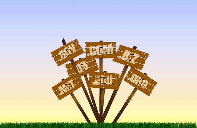 Maximizing Profit: Tips for Using Domain Flipping Tools Effectively