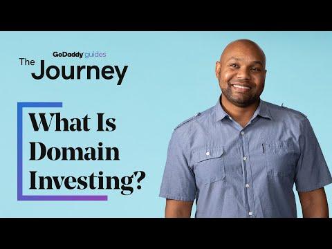 Navigating the Risks and Rewards of Domain Investing