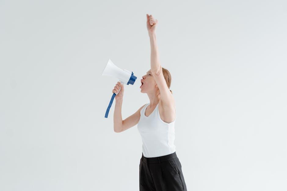 Tips for Crafting Persuasive Domain Descriptions