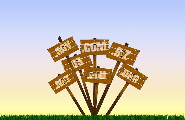 Essential Tips⁢ for Choosing the Right Domain ⁢Extension for Your Business