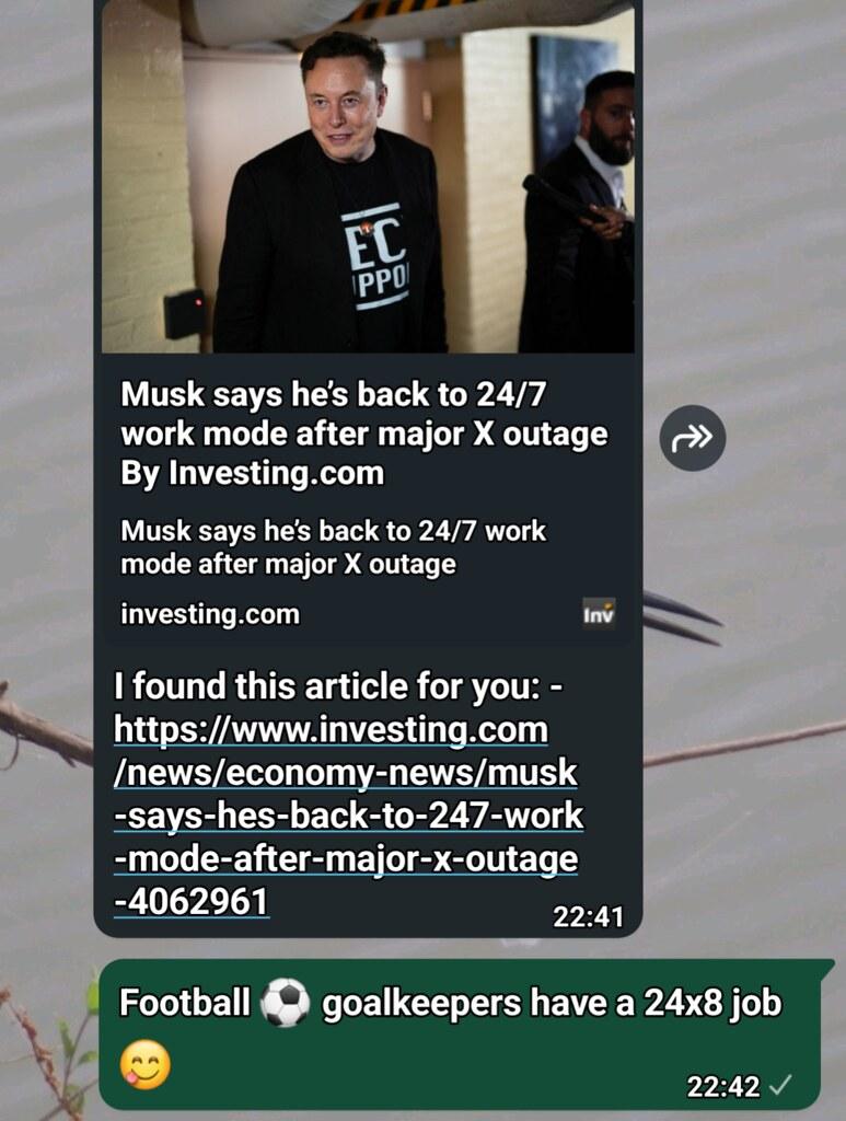domain flipping by the millionaire society
