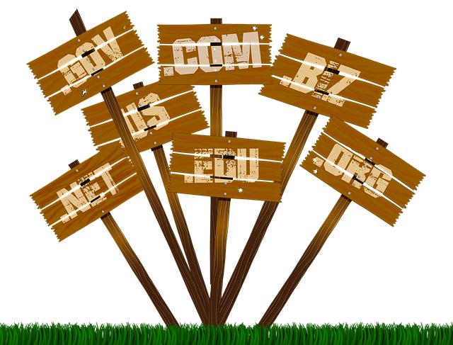 flipping domain names make money