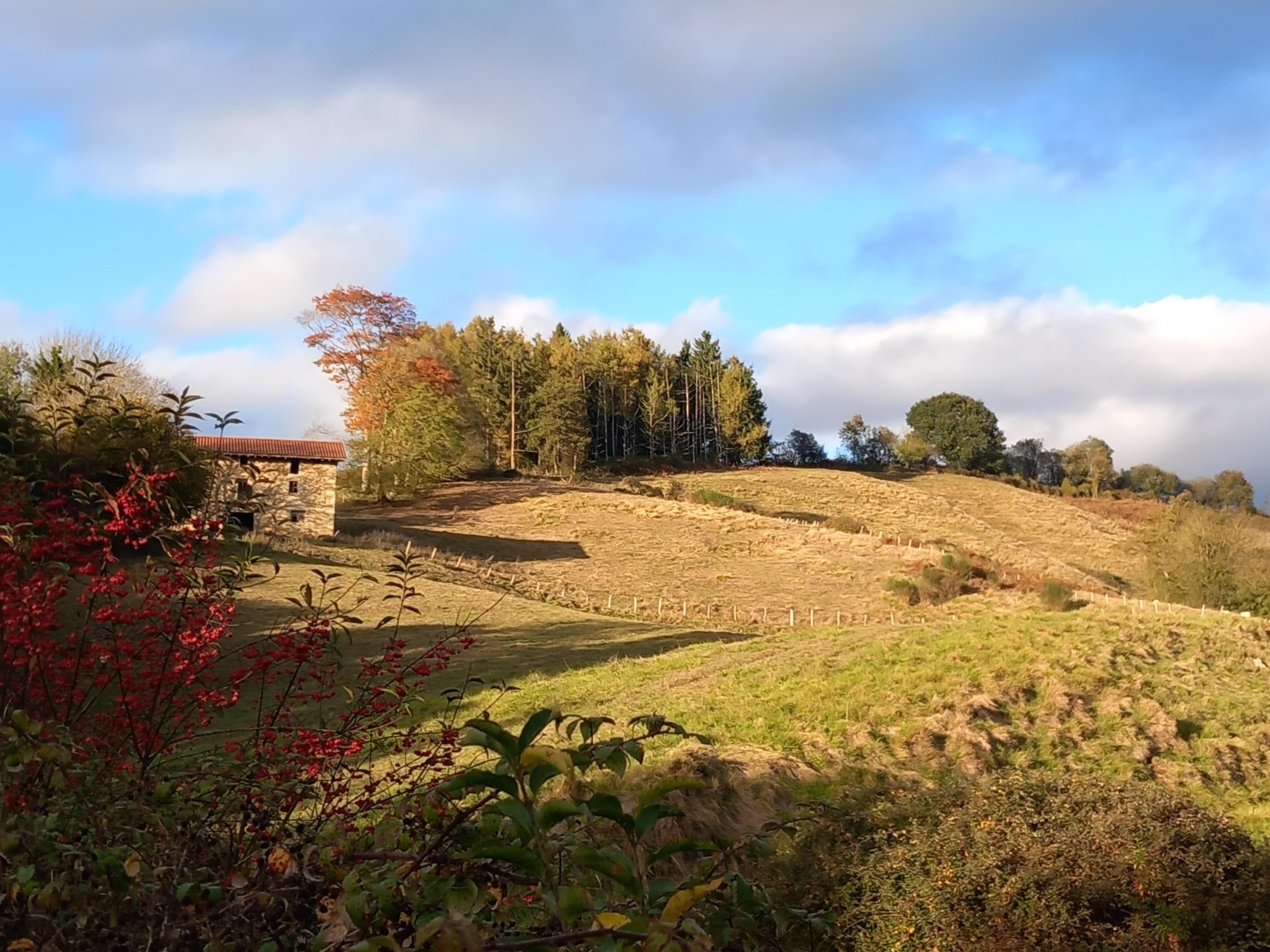 Tips for‍ Ensuring Your‌ Domain‍ Enhances Your⁢ Online Branding