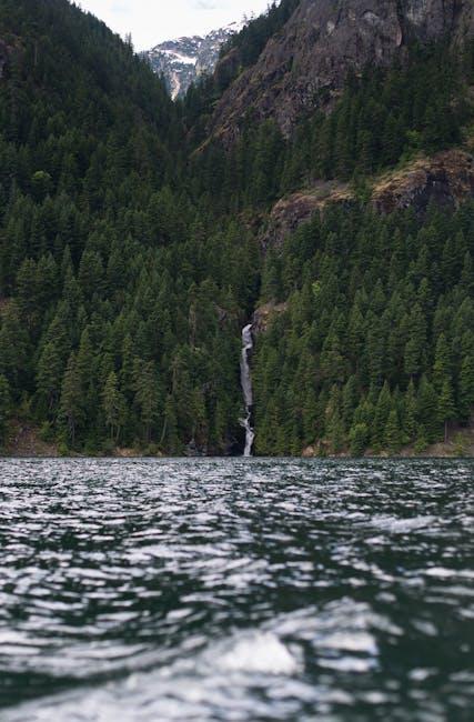 key Factors Driving the Value of Domains Sold ​Today