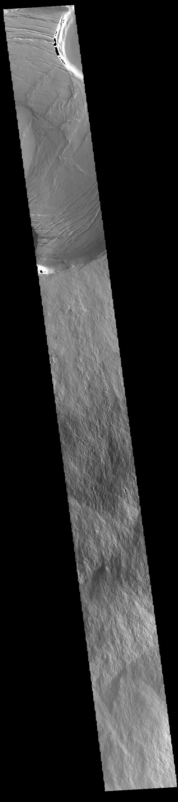 Navigating Domain Extensions: Which one is⁤ Best for Your ⁢Business