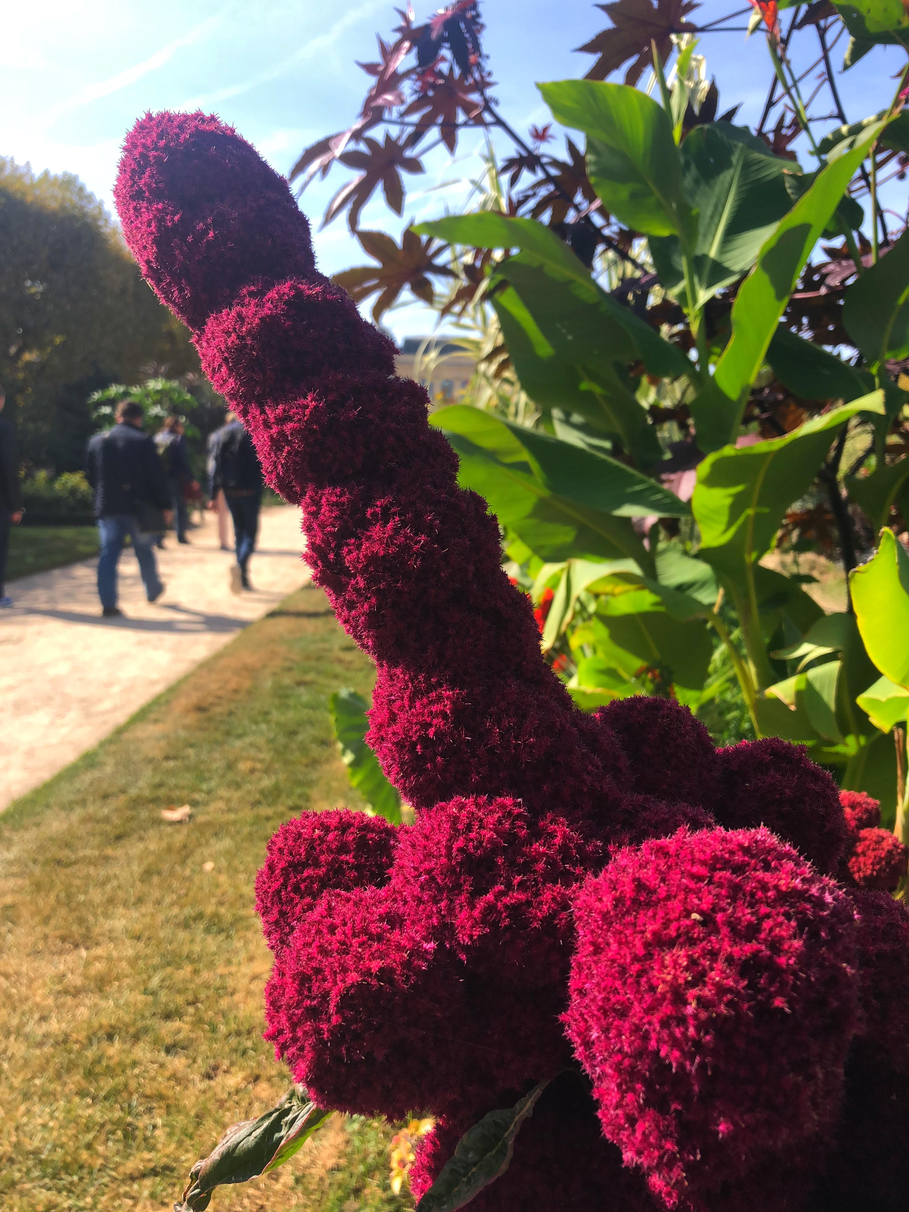 Identifying Profitable Domain Names