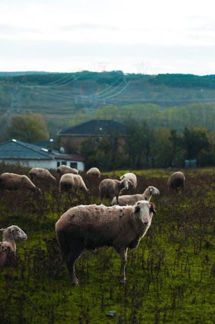 Understanding​ the Domain⁢ Valuation ‍Process to Maximize⁢ Profit Potential