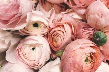 bridal shower nail ideas
